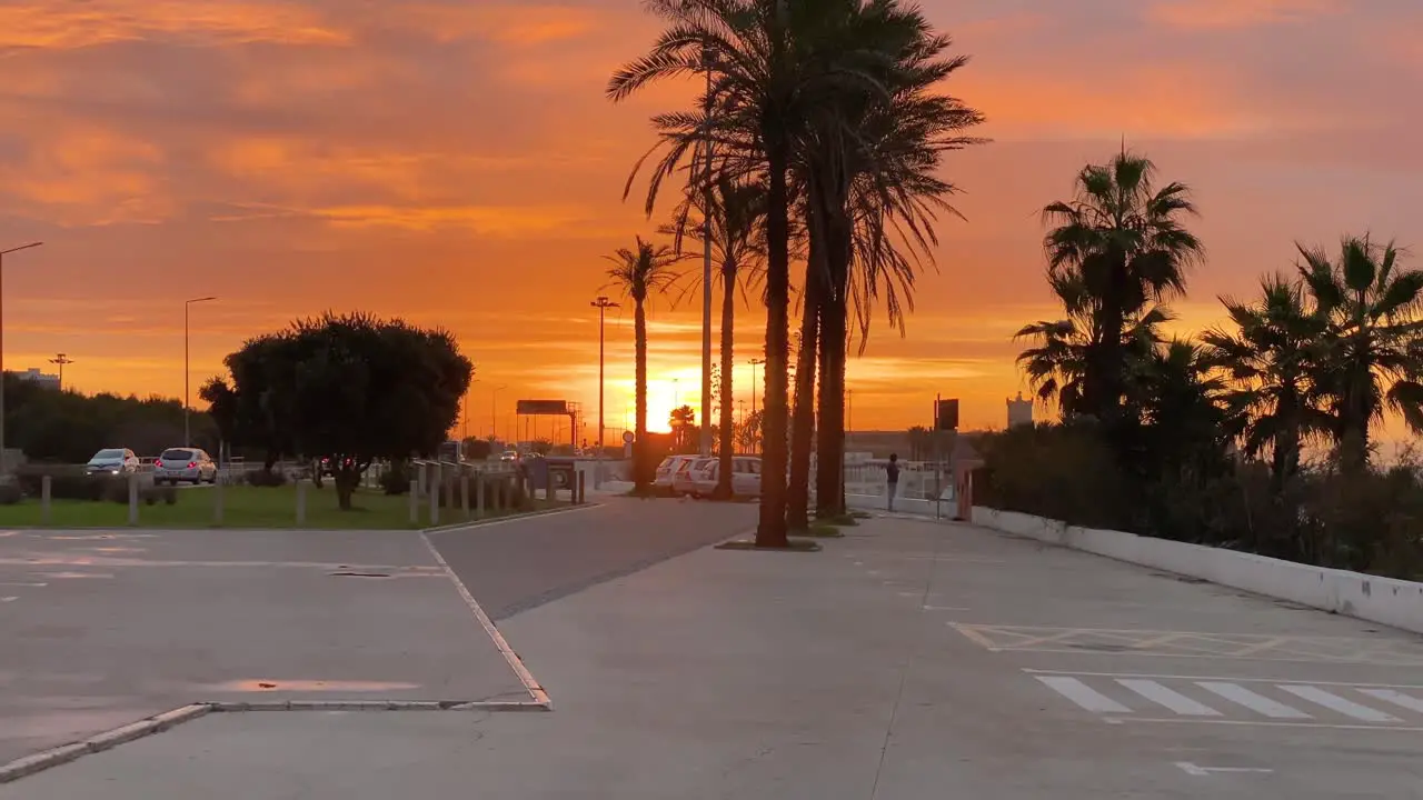 Man in coat observing picturesque golden sunset scenery staying at parking space