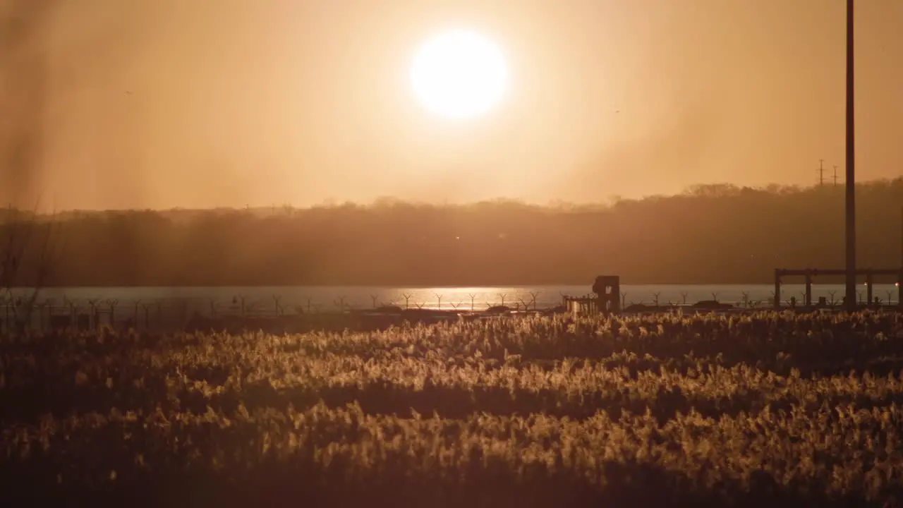 Sun sets over water trees grasses and weeds wide golden hour landscape shot at Fort McHenry Baltimore