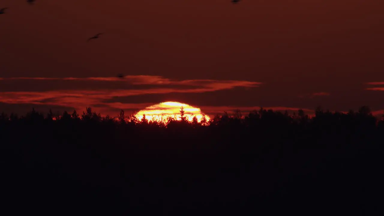 Sunrise closeup hot air distorted atmospheric effect wobbly image