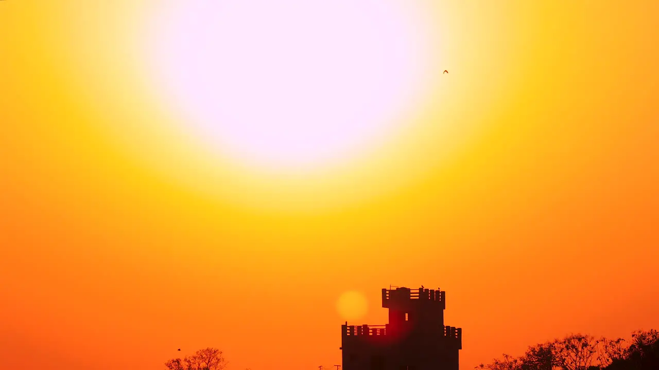 Rackfocus silhouetted birds flying home against the bright orange sky during the golden hour