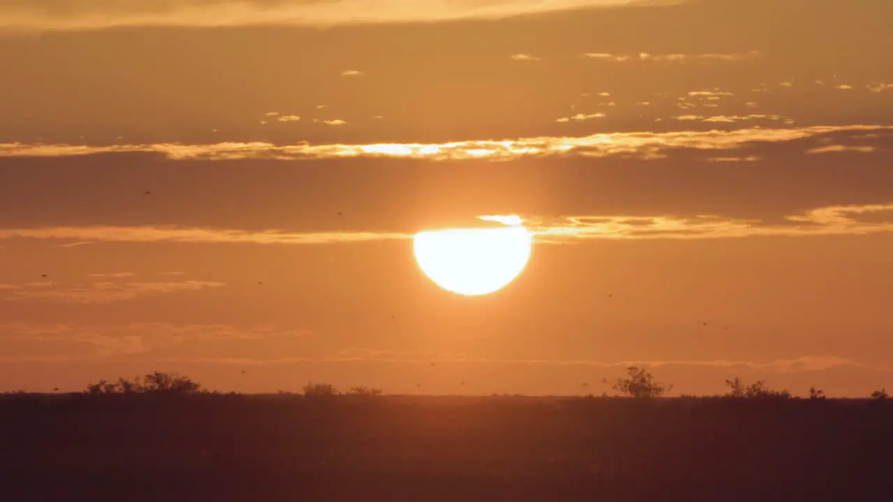 sunset sun landscape with clouds and birds flying in silhouette