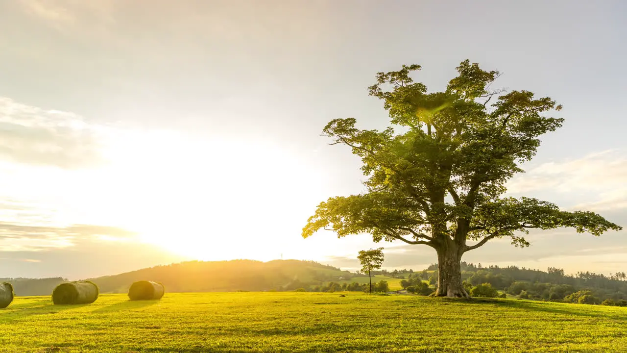 Sunrise time-lapse overlooking a lone tree on a hill overlooking the countryside and nature with mountains during summer multi colored sky and clouds with stacks of straw on side capture