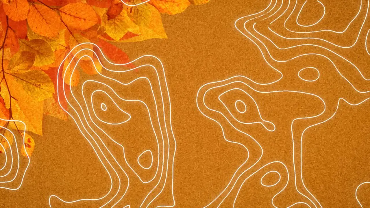 Animation moving white lines over autumn leaves on orange background