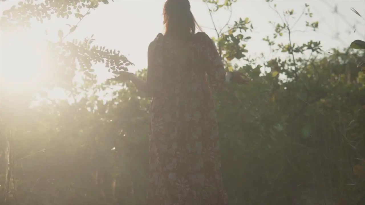 Woman looking at plants and lifting her hands as the sun shines behind the plants causing backlight