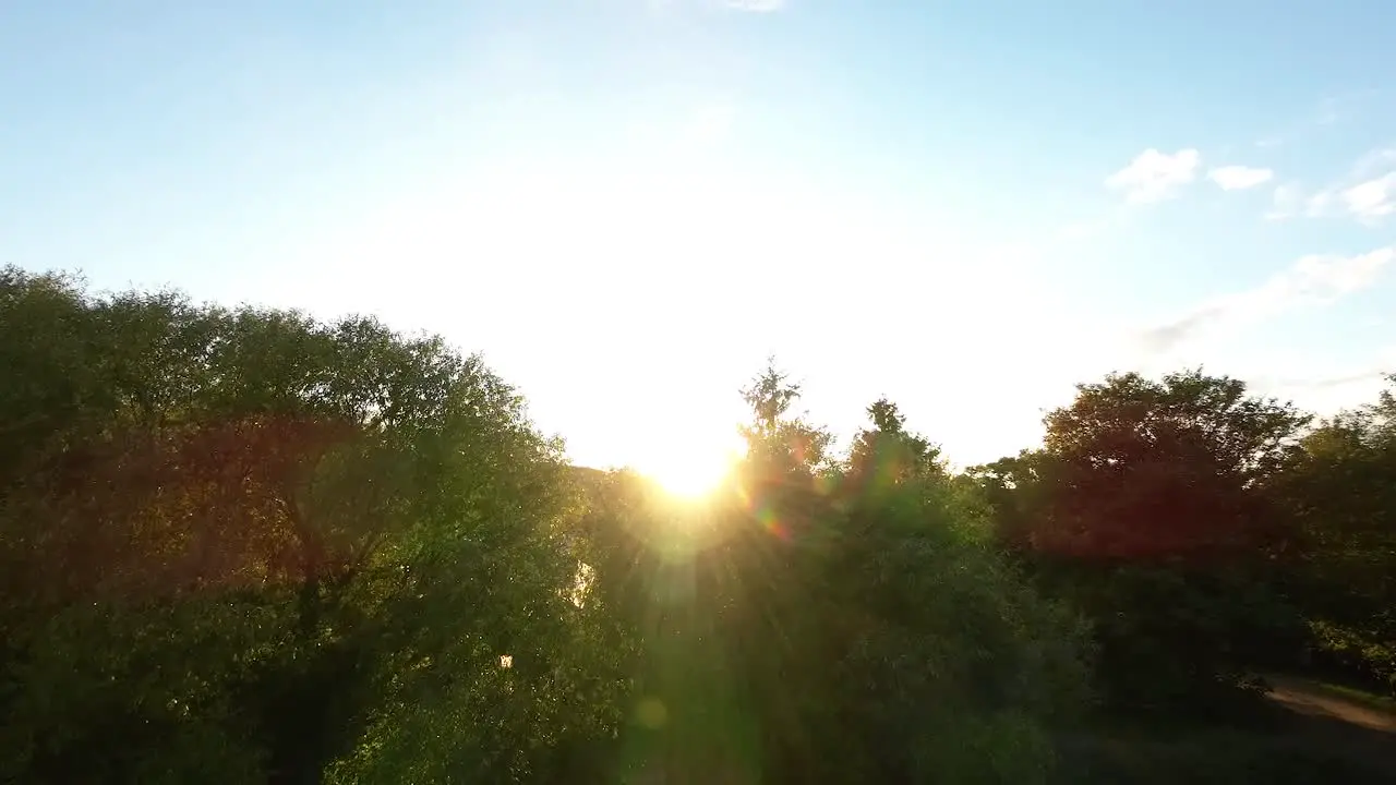 Bright Sunshine Over Dense Forest Cliffs At Orlowo Beach In Gdynia Poland