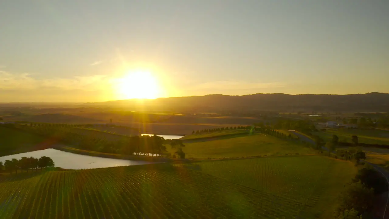 Slow pan left aerial perspective over dramatic vineyard landscape with lens flare in Yarra Valley Victoria Australia