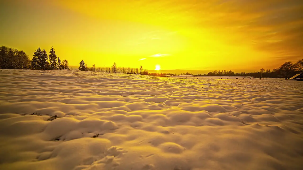 Time-lapse of golden sunset lighting on snow-covered agricultural fields in wild nature beautiful landscape with tree silhouette in winter