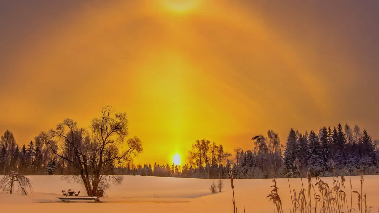 Soft golden glowing sunrise over a snowy meadow of snow and foliage dreamy time lapse