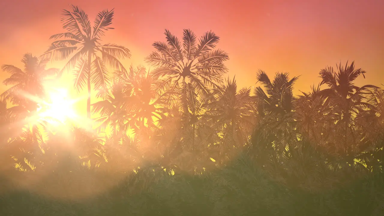 Panoramic view of tropical landscape with palm trees and sunset 11