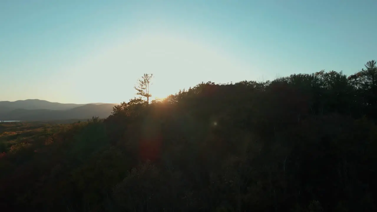 Rising aerial at sunset starting from below trees revealing sun in distance