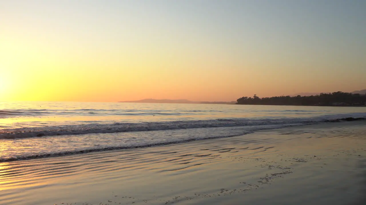 Birds flying off seashore in California at sunset