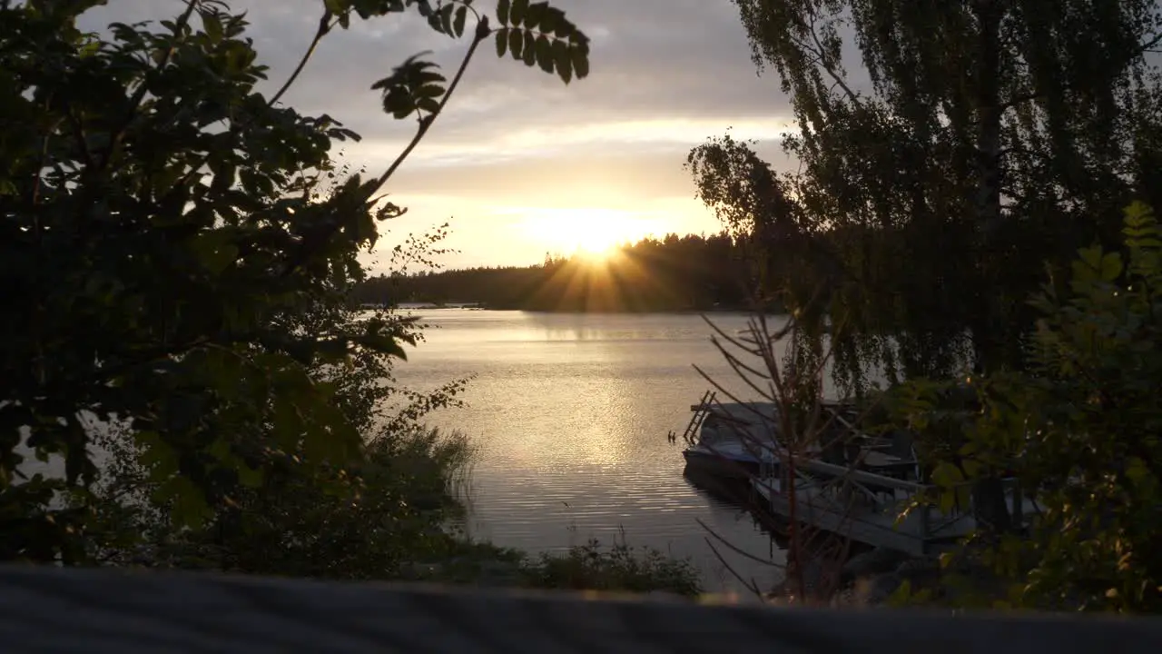 Sunbeams and sunset on horizon seen between trees and plants of a bay