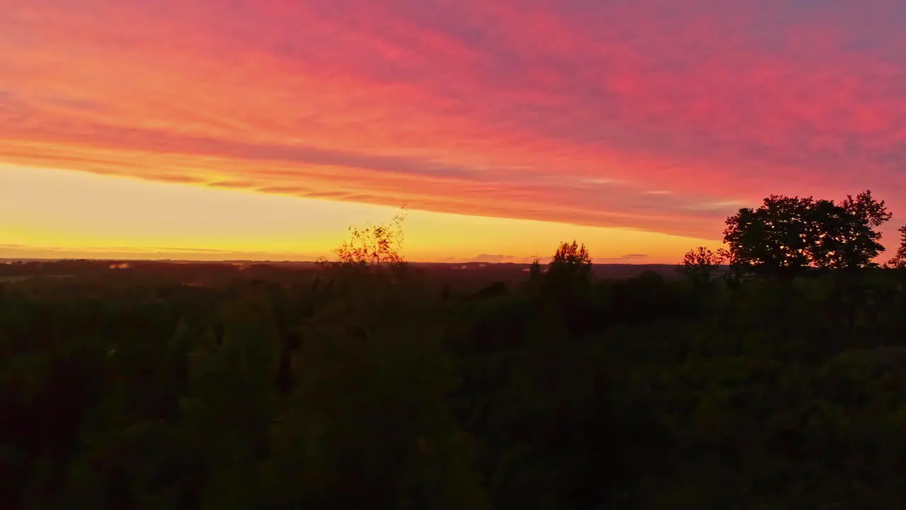 Aerial panoramic shot of golden sky during golden hour over forest woodland