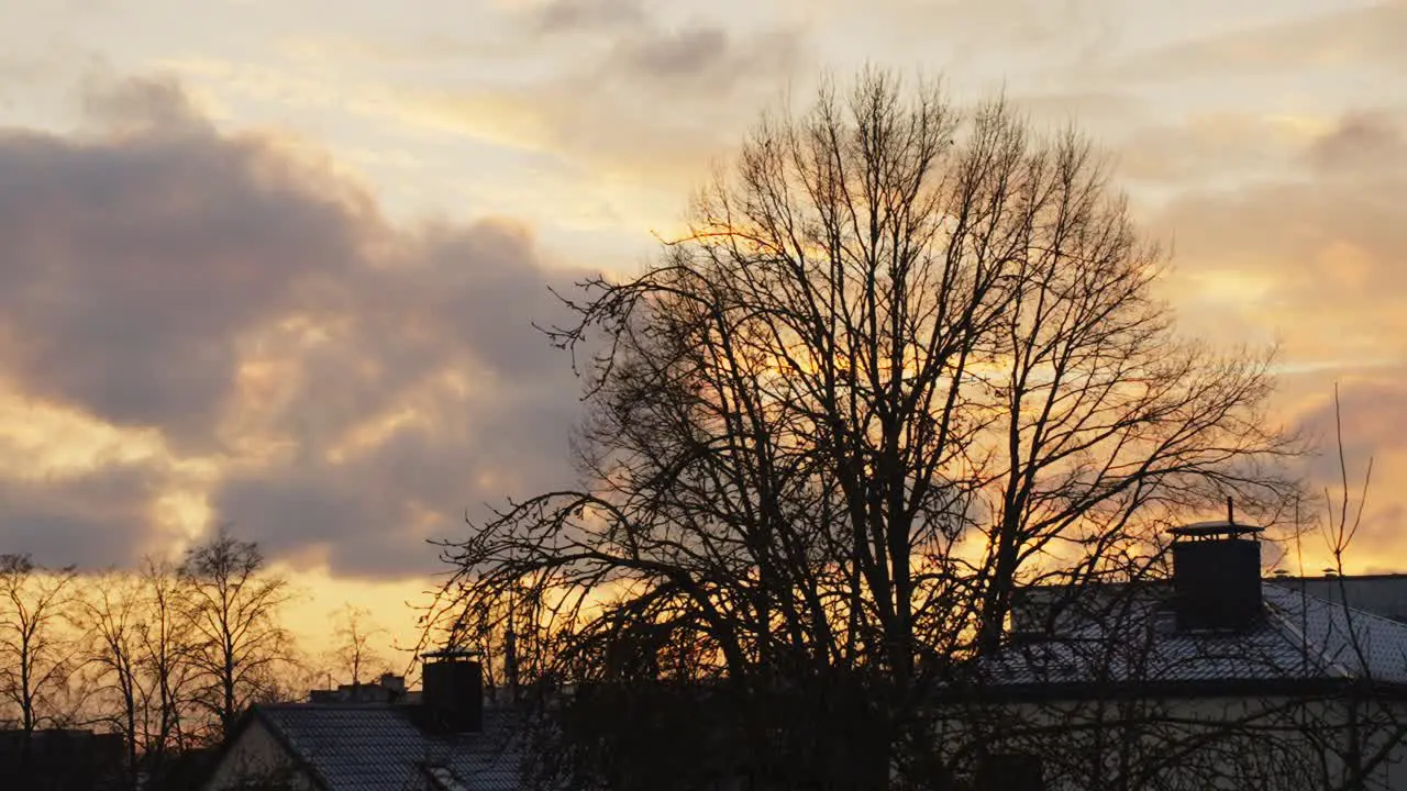 Time lapse of outside view from home tree and neighboring houses sunrise