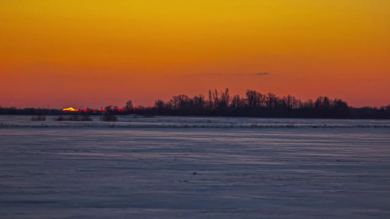 Panoramic view of a swampy area and forest on a beautiful orange sky sunset