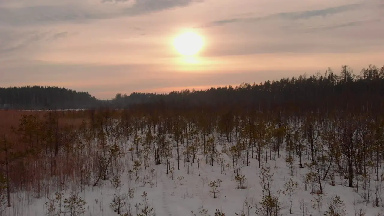 Flying towards sunset over a forest covered by snow in Latvia