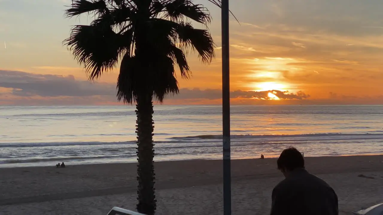 Man stands near of silhouette of palm tree by sunset background