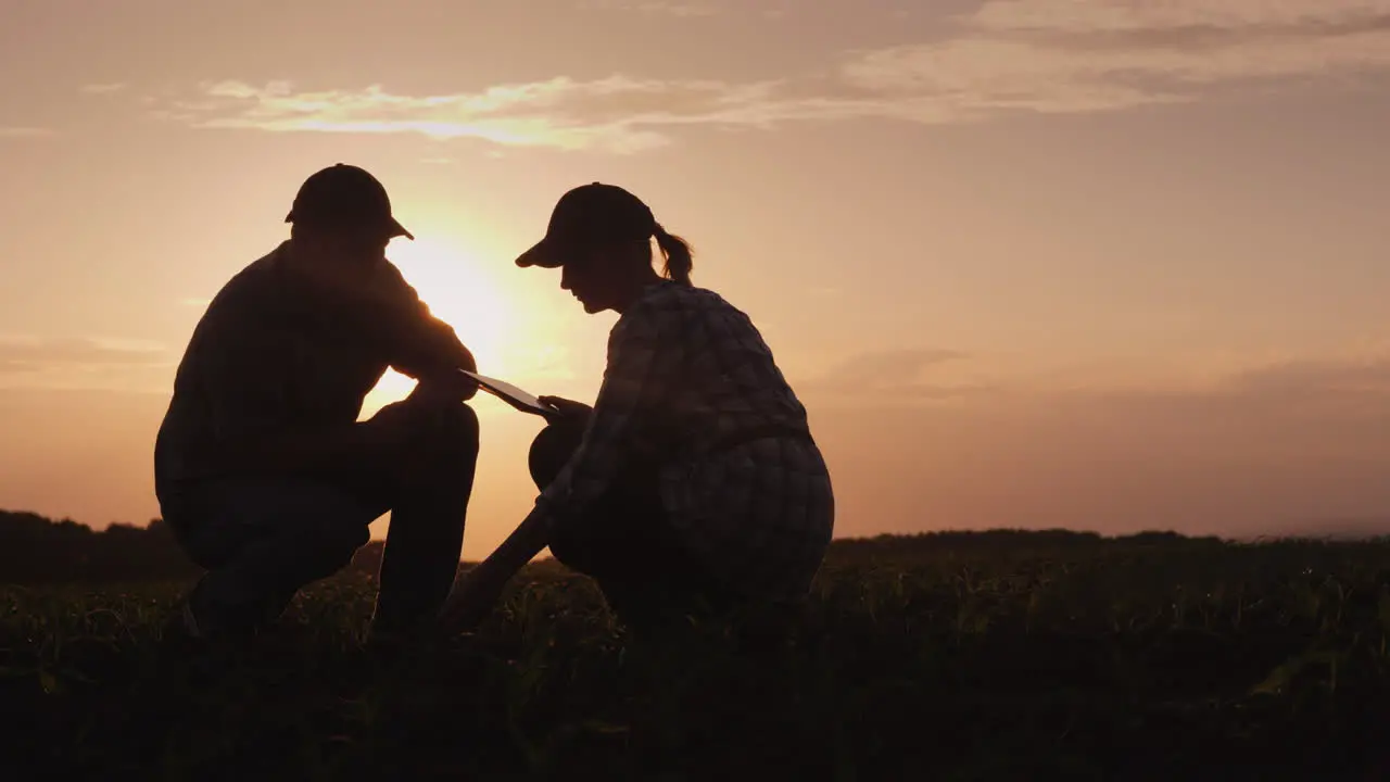 Silhouettes Of Two Farmers Men And Women Work In The Field At Sunset Study Plant Shoots Use A Tabl