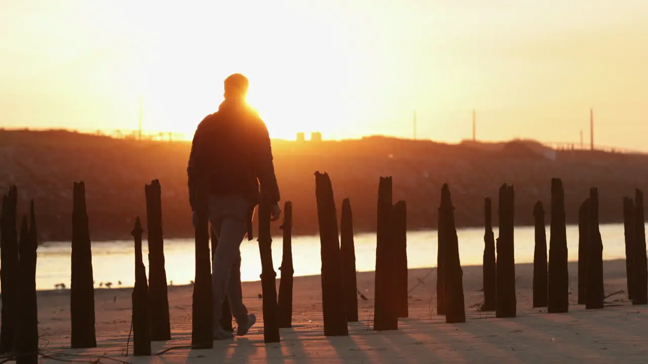 A Man Passing By The Woods At The Coast Of Vieira Beach In Portugal During Sunset With Baby Seagulls In The Background mid shot