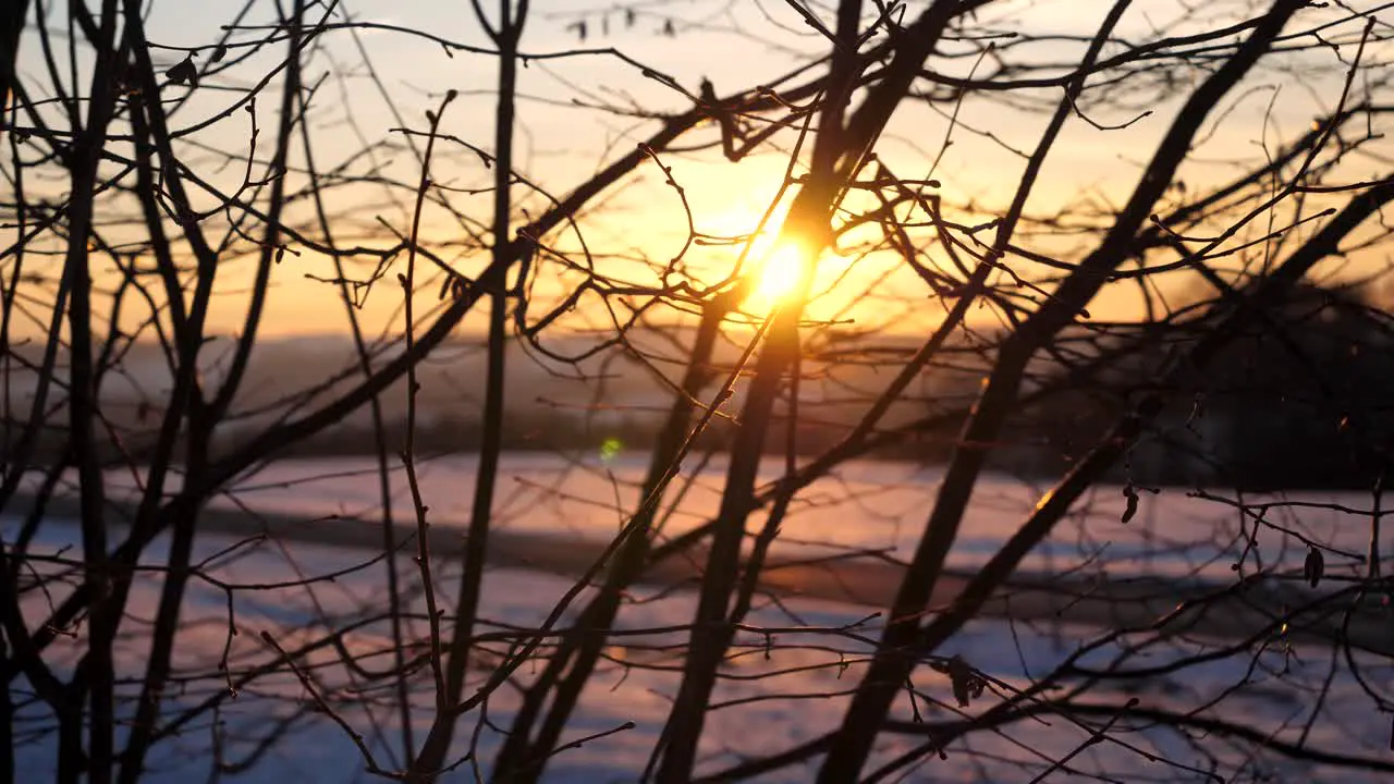 Beautiful winter Sunset is shining through tree Branches without leafs