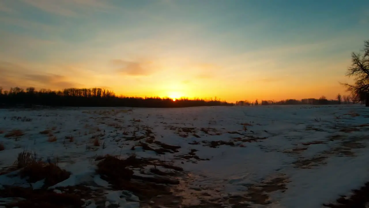 4k sunrise forest glow reflects melting snow covered grounds as golden amber reflects on melting ice while the sun rises an early morning at Elk Island National Park where wildlife thrives numerously