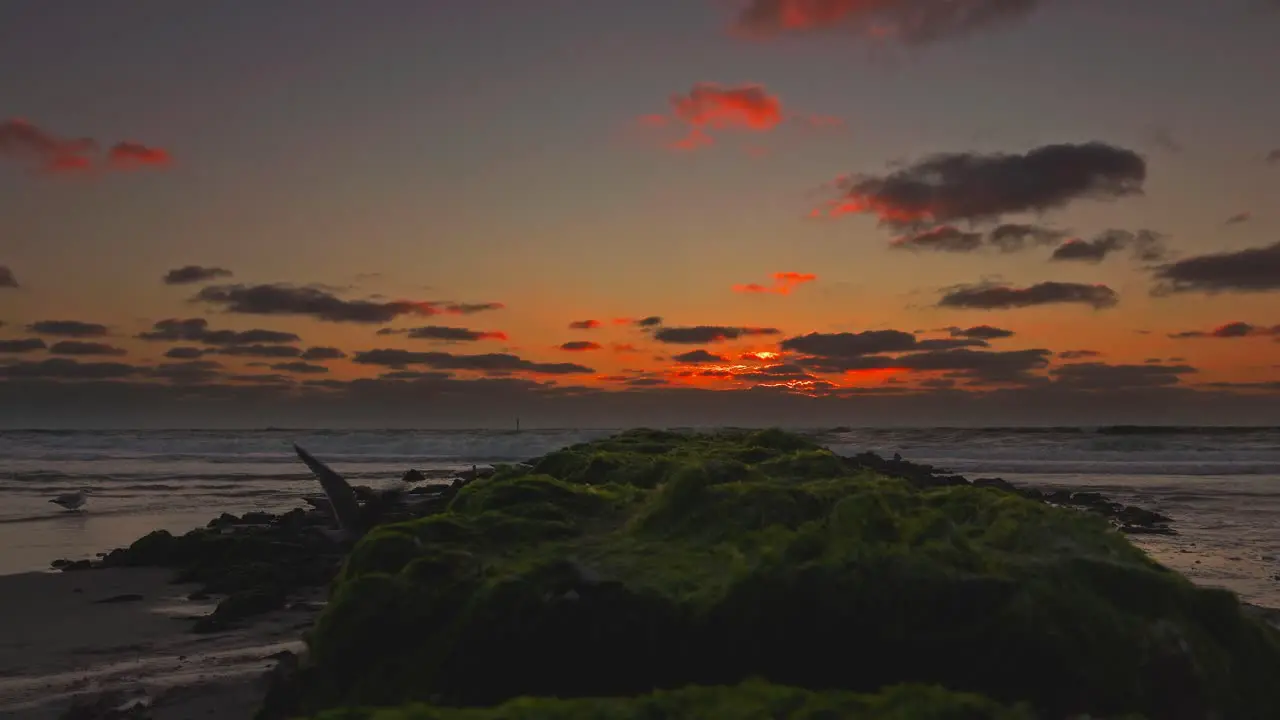 Red sunset over a beach with silhouettes of wild seagulls two of them fly away concept for a romantic travel