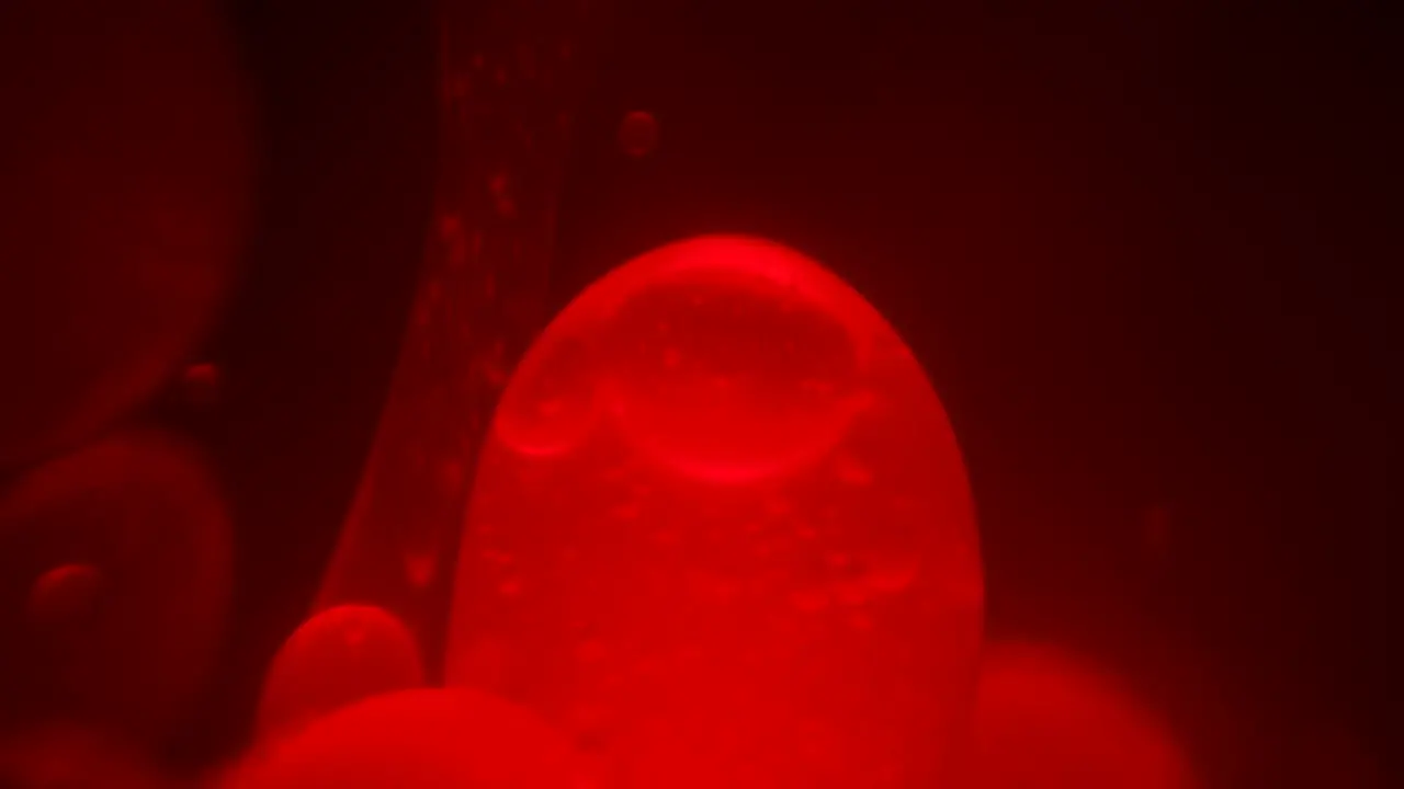 Close up macro view of the lava balls floating inside a lava lamp