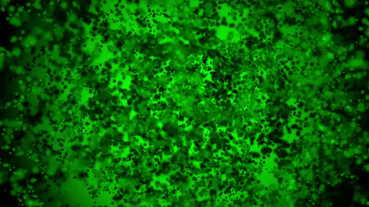 Fast-moving bacteria under green light