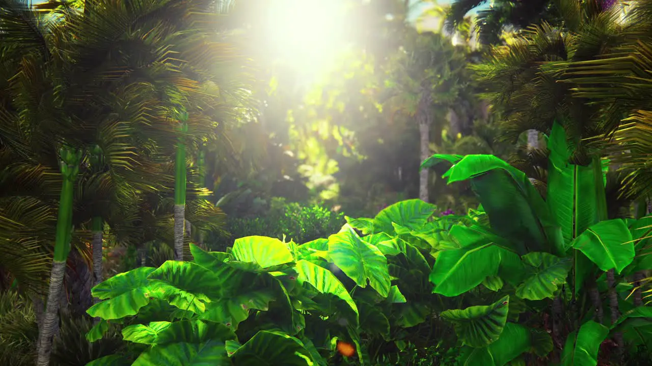 Camera Flying Through Tropical Jungle 3D Animation 4K