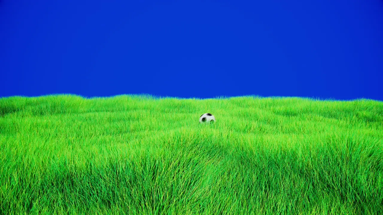 3d animation of a soccer ball rolling over a green field of grass with bluescreen background blades of grass subtle blowing in the wind sideview of a football running from left to right