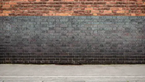 A cgi tree growing against a brick wall