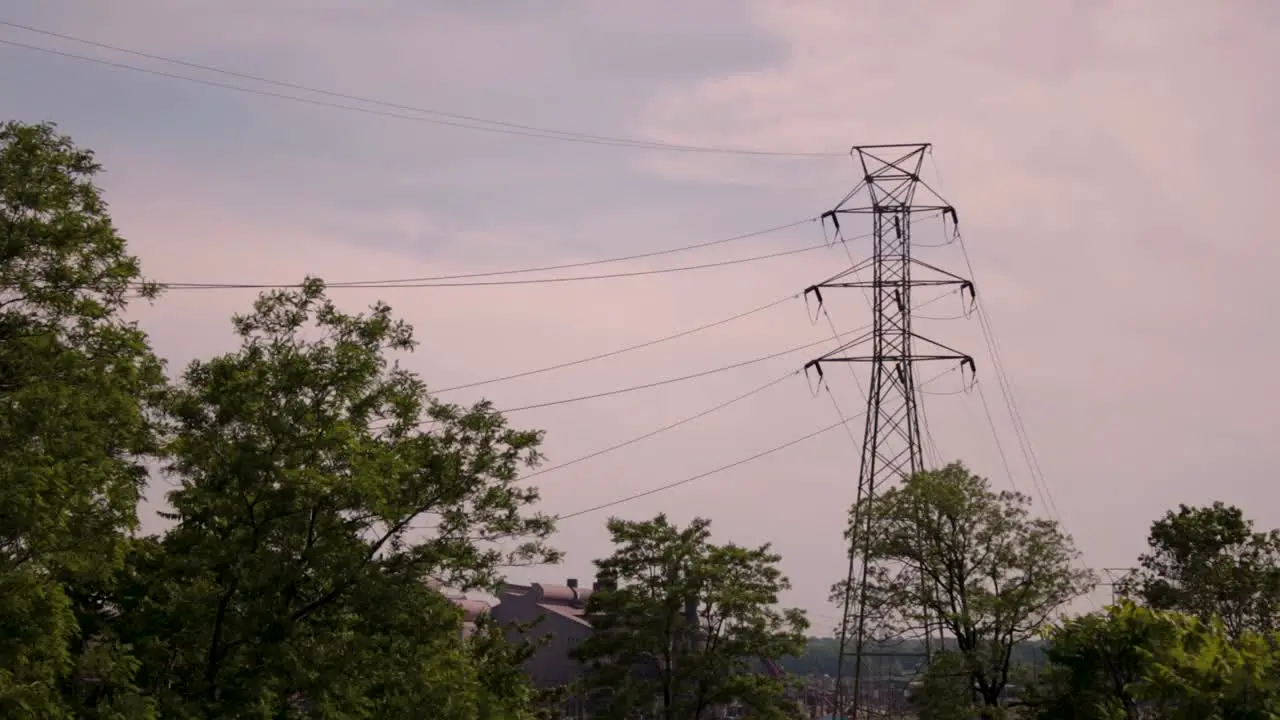 Powerlines that run through a nature preserve