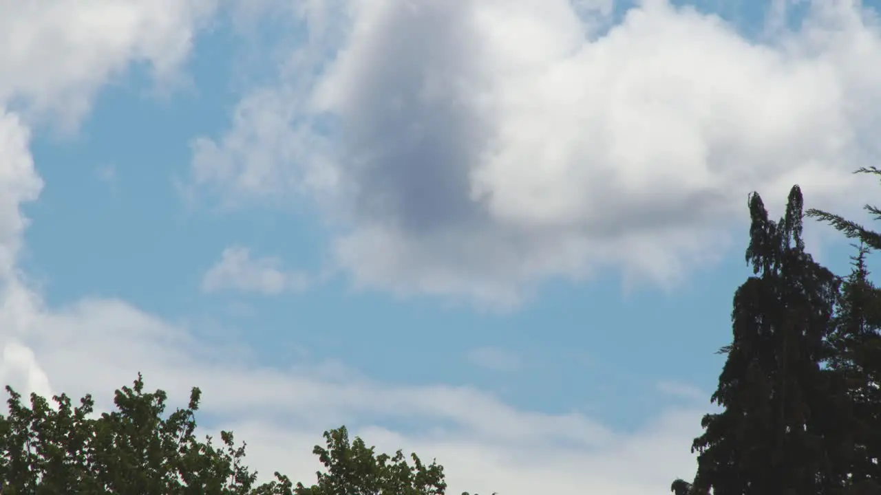 Clouds with trees beside Timelapse