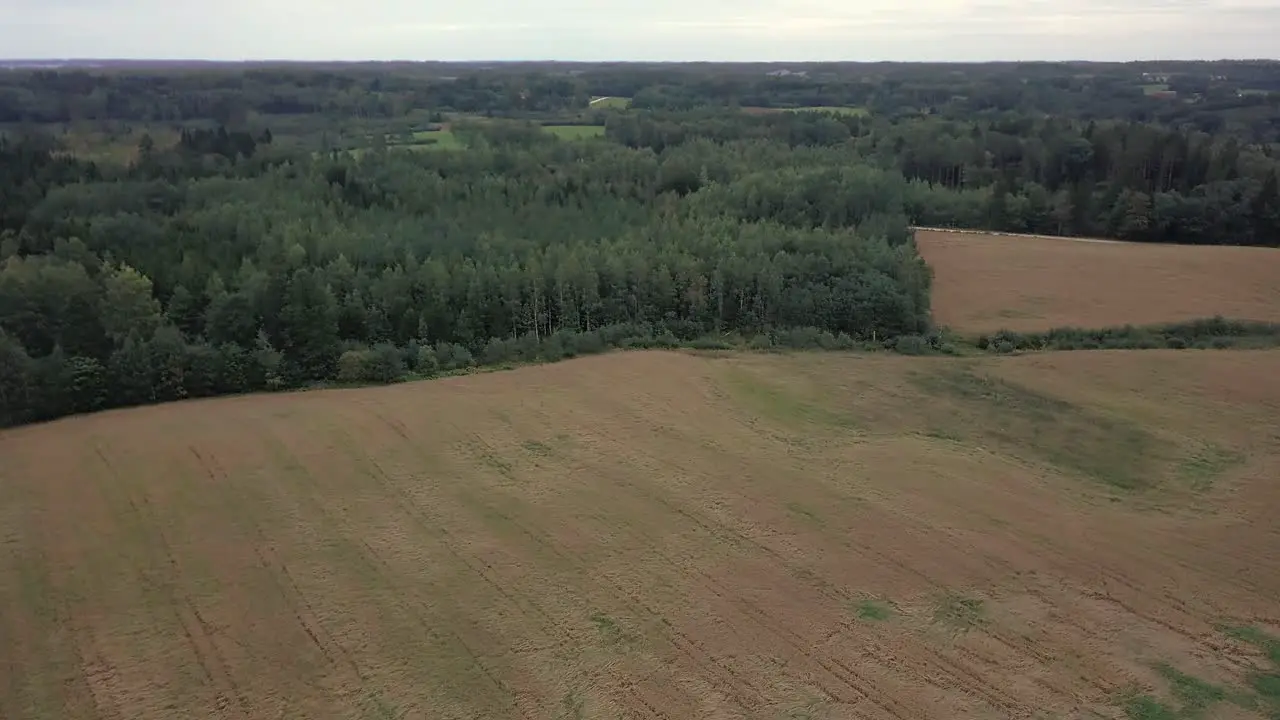 Aerial drone view on countryside meadows with forest in the background