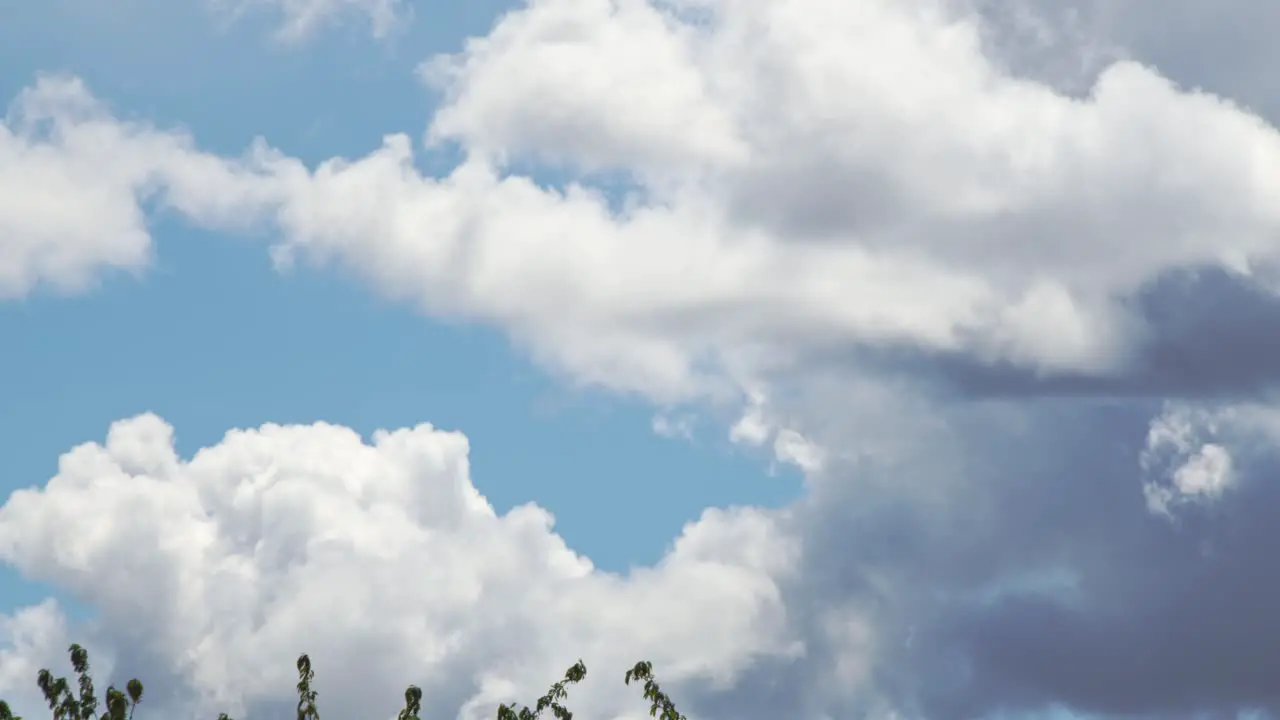 Clouds with trees underneath Timelapse