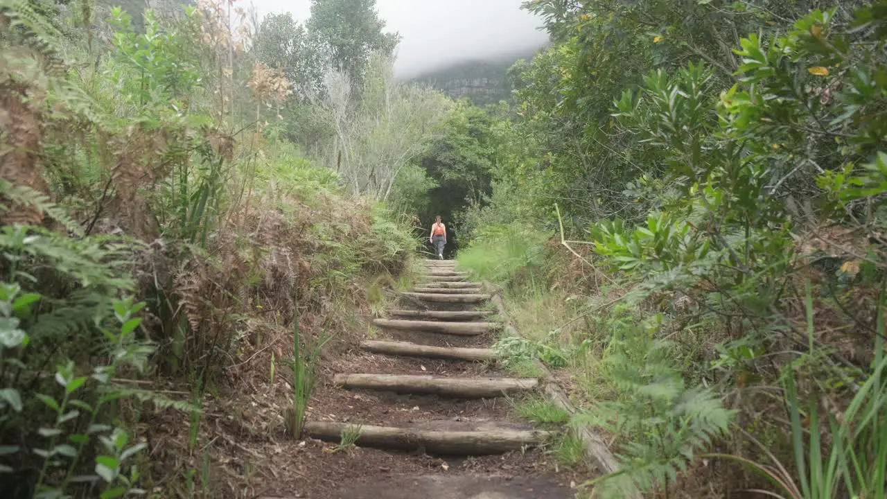 Girl walking towards a dense forest for a hike in Cape Town South Africa at kirstenbosch botanical garden