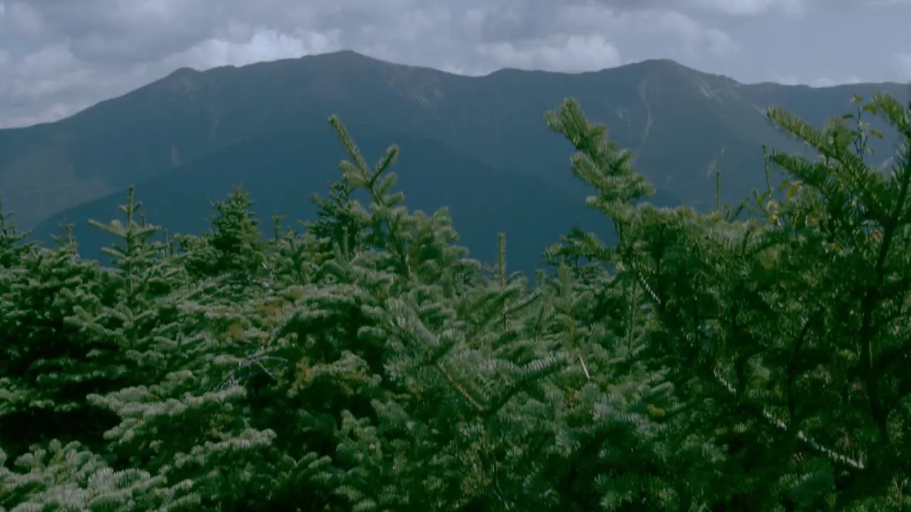 Trees lie in the foreground as the camera tilts to reveal mountain peaks against a cloudy sky