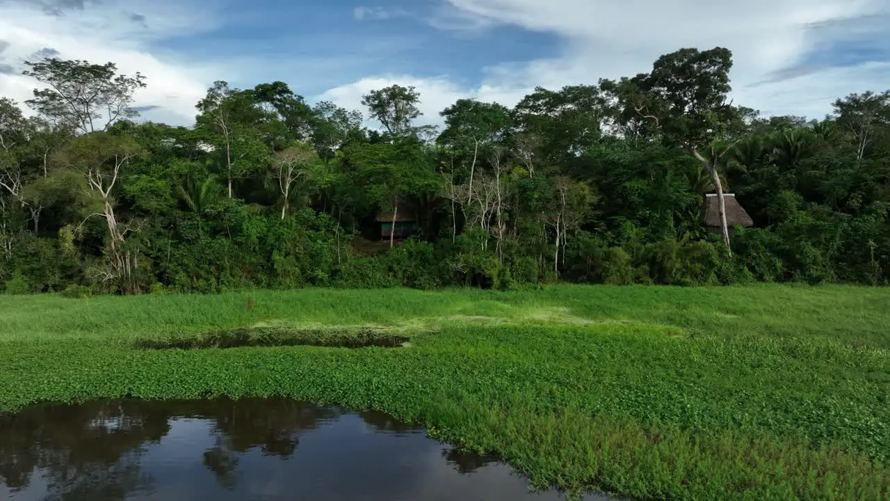 Aerial drone fly view of Jungle hut in the Amazonia surrounded by trees rivers tropical climate wild animals rain in the forest