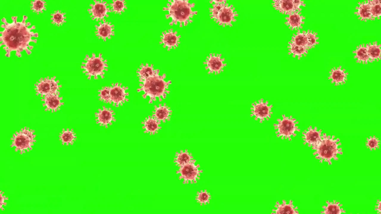 Coronavirus Animation Green Screen Background