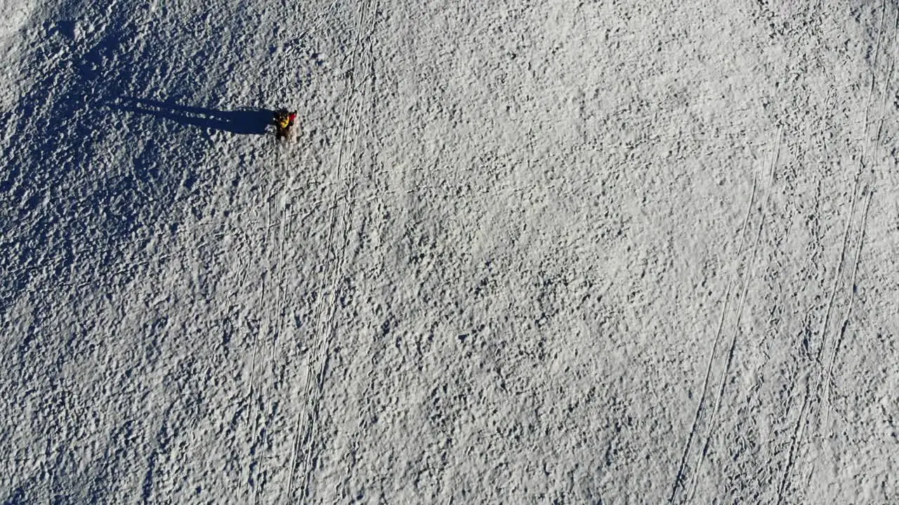 tobogganing down a snowy mountain