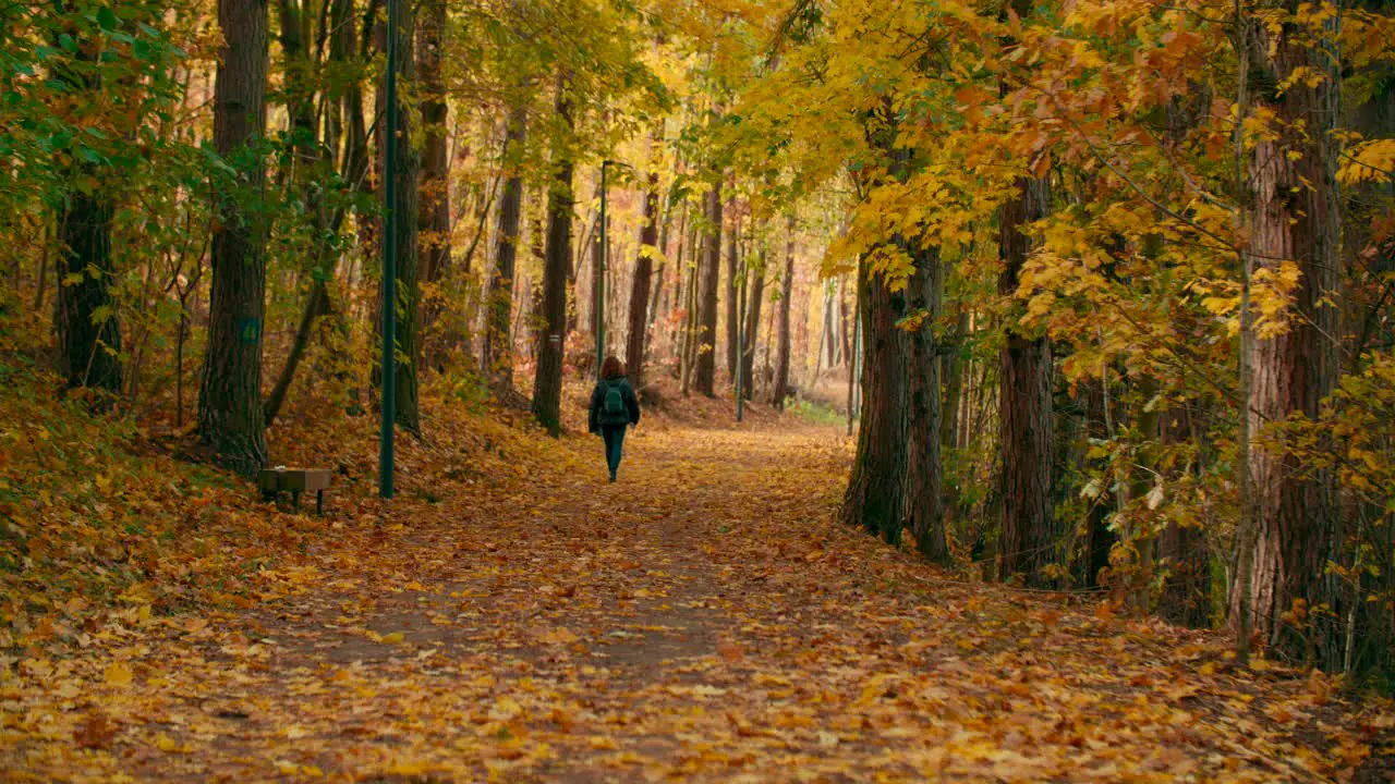 Stock video Shot of lonely woman walking in the autumn forest pathway