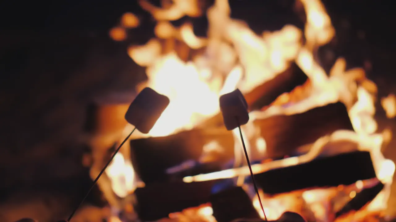 Fry Marshmallow Over A Fire Close-Up In The Frame You Can See Only Sticks With Marshmallows