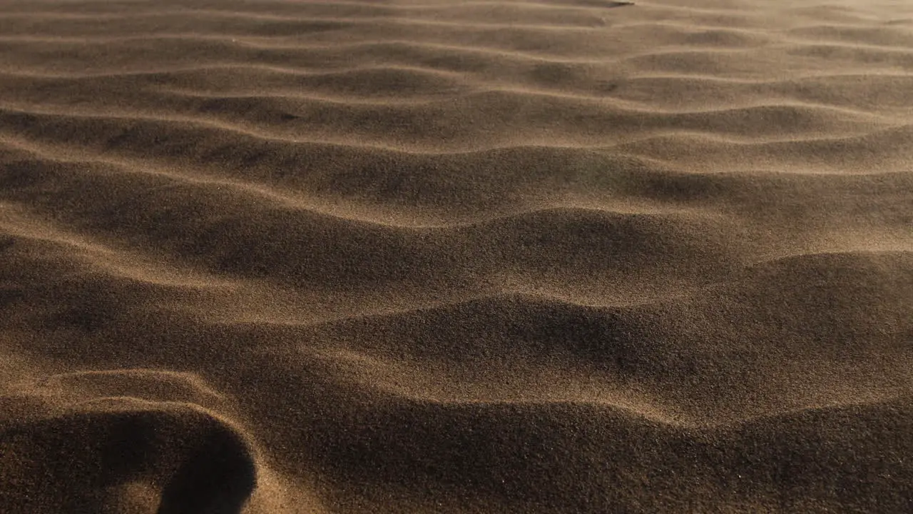 Camera moves across sand blowing in the desert