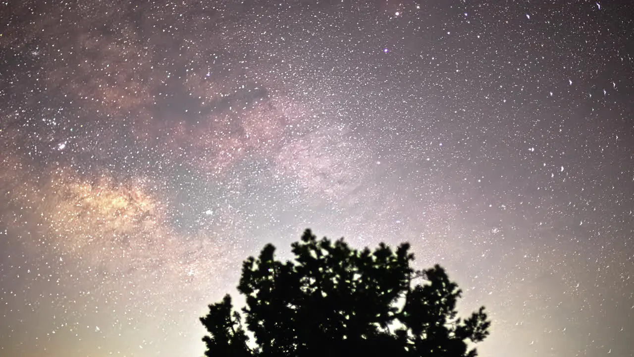 The Milky Way slips past behind an old pine tree on Mount Olympus in Cyprus