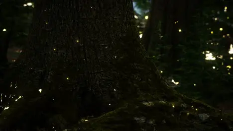 Fantasy firefly lights in the magical forest