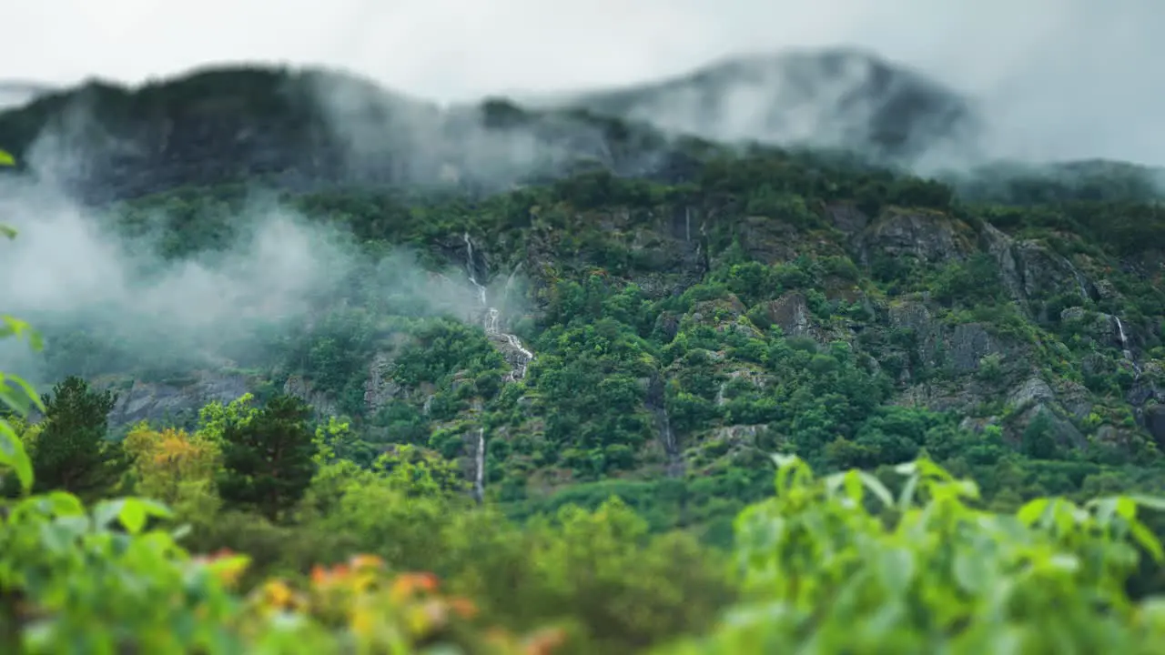 Forest-covered cliffs and waterfalls on the shores of the Hardanger Fjord