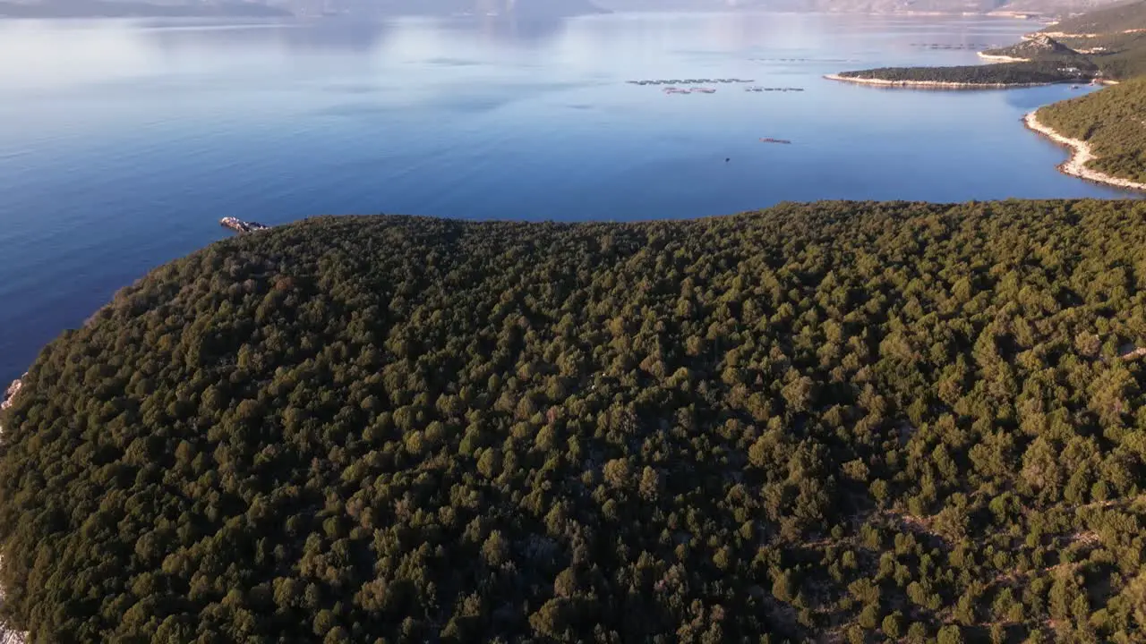 Cinematic Reveal Drone Shot at Sunset Forest Coast