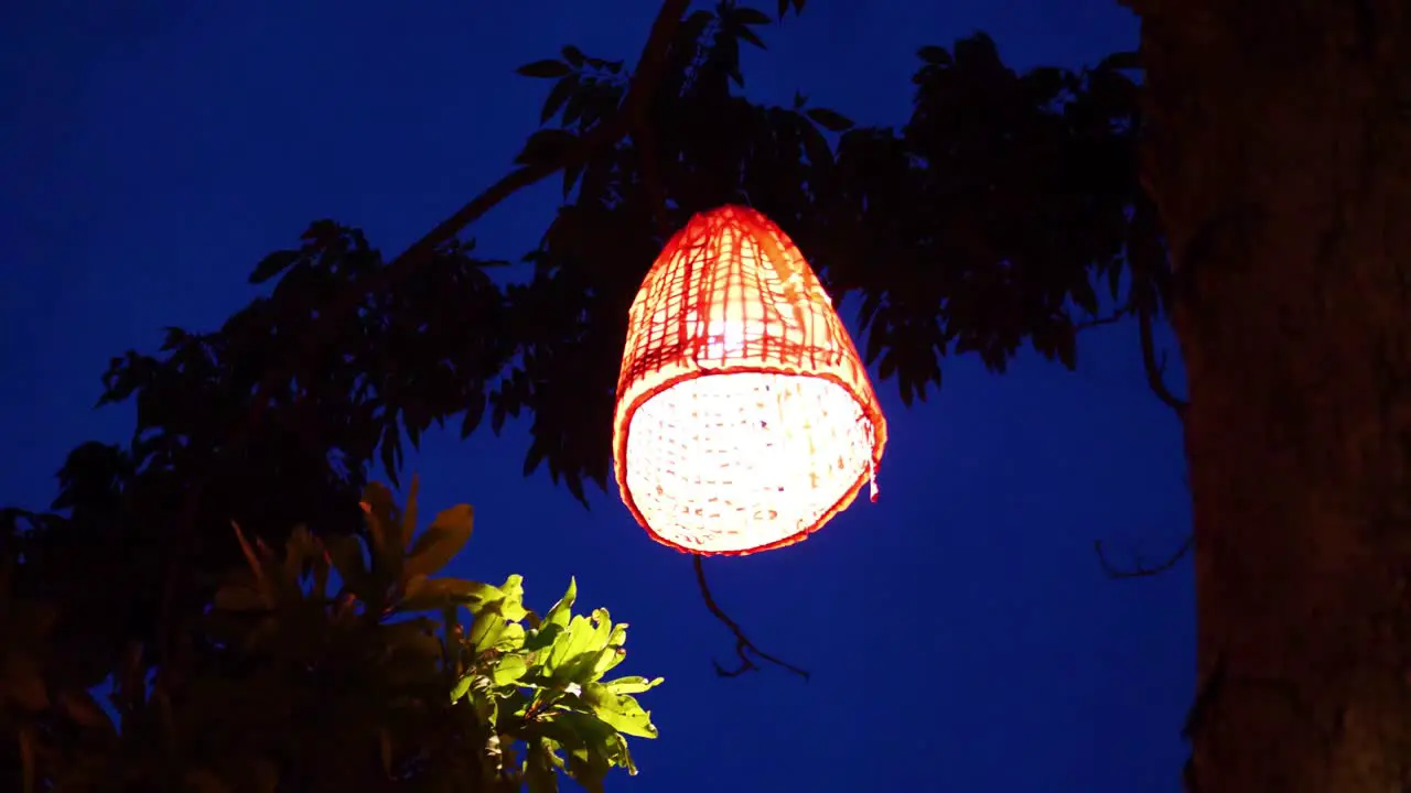 Thailand lantern hanging from a tree and swaying in the dusk breeze