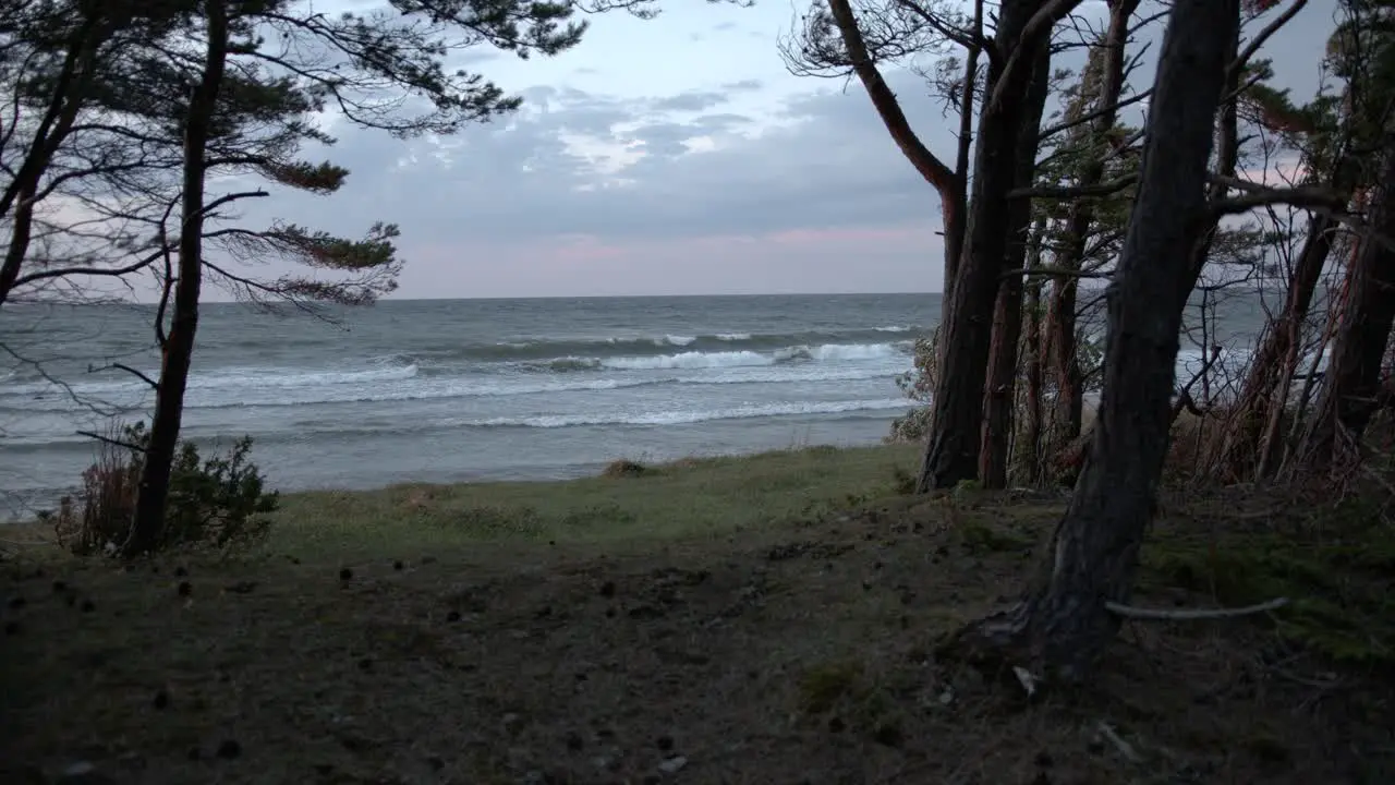 Stormy sea scene with waves gushing towards the forested shoreline in slow motion fir trees in wind wide shot