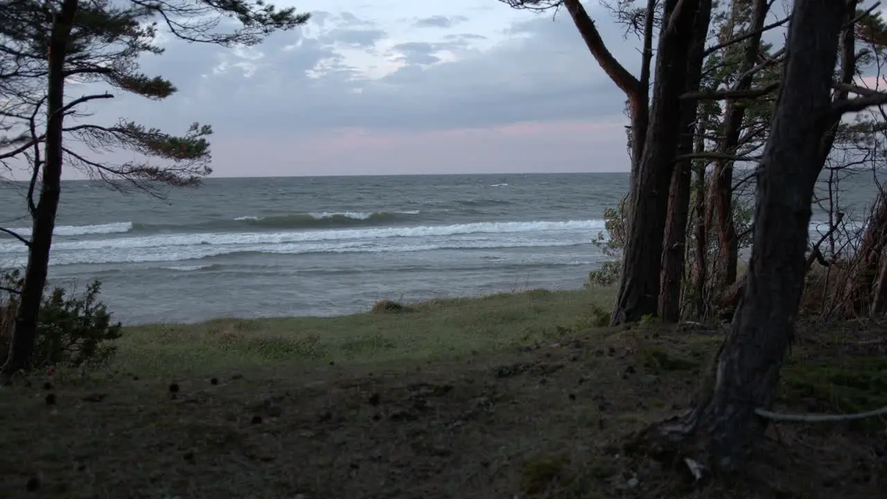 Stormy sea scene with waves gushing towards the shoreline in slow motion fir trees enveloping around the scene